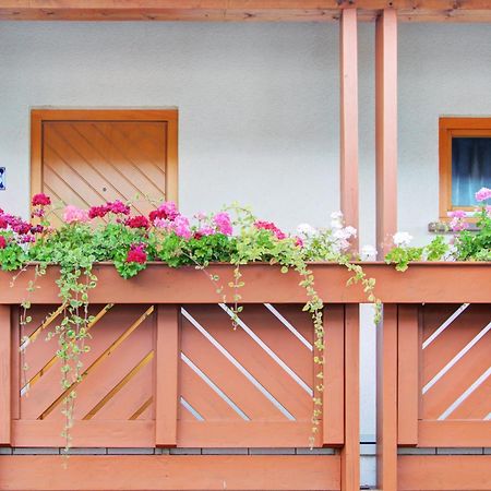 Apartment Landhotel Zum Storchennest Bann Exterior foto